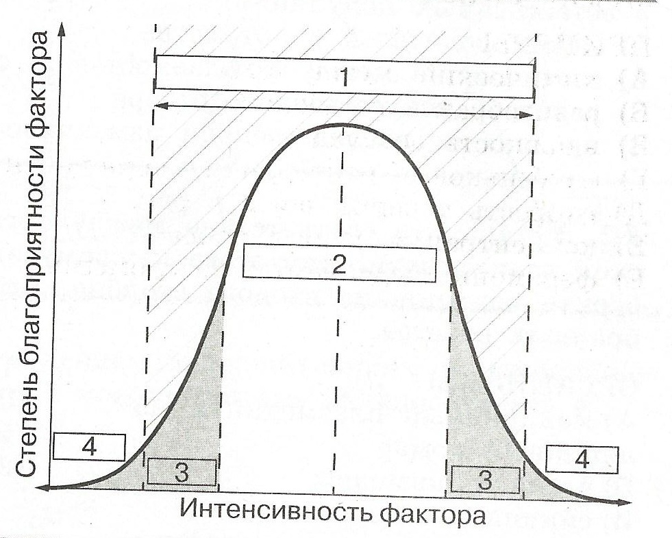 Схема действия факторов среды на живые организмы